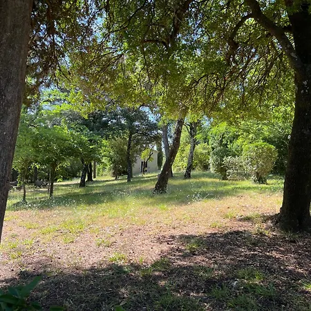 Des Anges #2 * Sauve