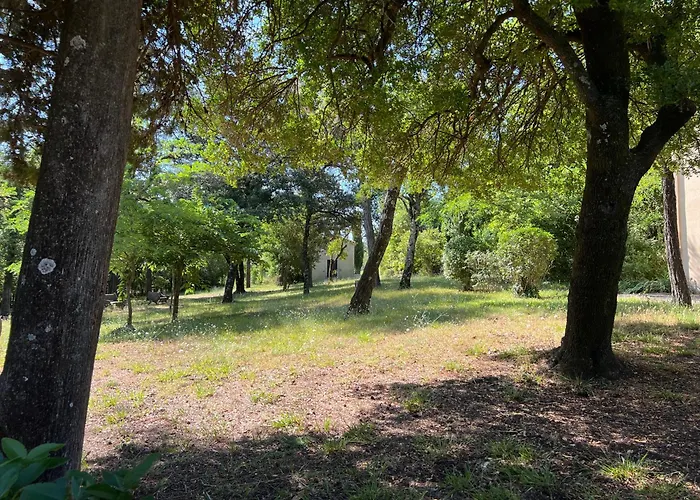 Des Anges #2 * Sauve